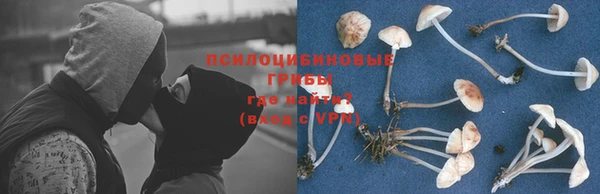 трава Аркадак