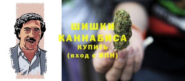 стафф Новокубанск