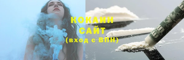 тгк Новозыбков
