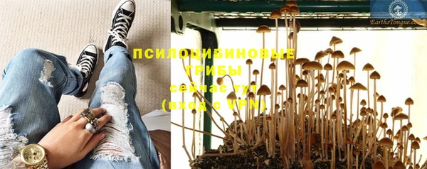 тгк Новозыбков