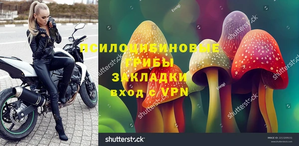твердый Балахна