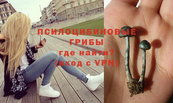 твердый Балахна