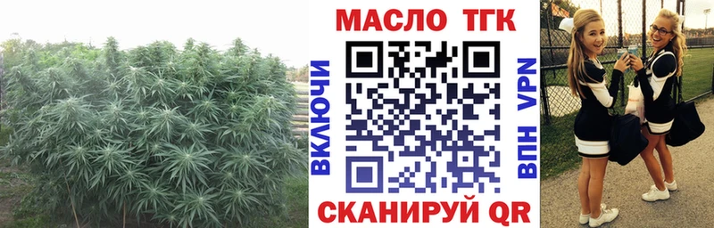 ТГК Wax  закладка  Александровское 