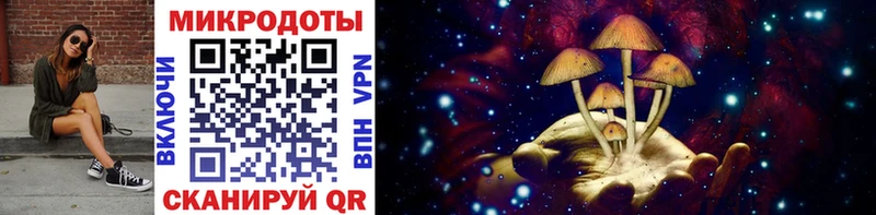 Псилоцибиновые грибы Cubensis  Александровское 